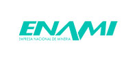 logo ENAMI
